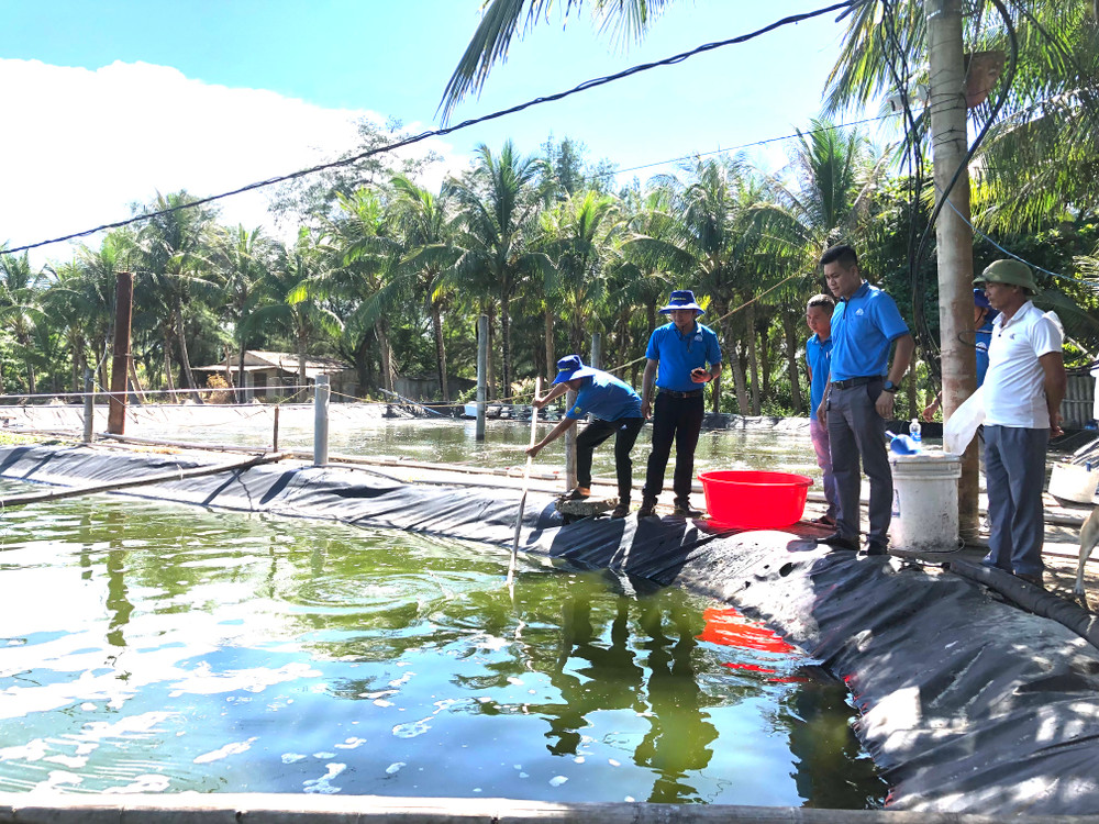 Mô hình nuôi tôm công nghệ cao Grofarm tại xã Hải Ninh, huyện Quảng Ninh, tỉnh Quảng Bình.