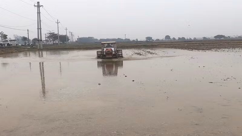 Nông dân tỉnh Nam Định làm đất chuẩn bị gieo cấy lúa đông xuân.