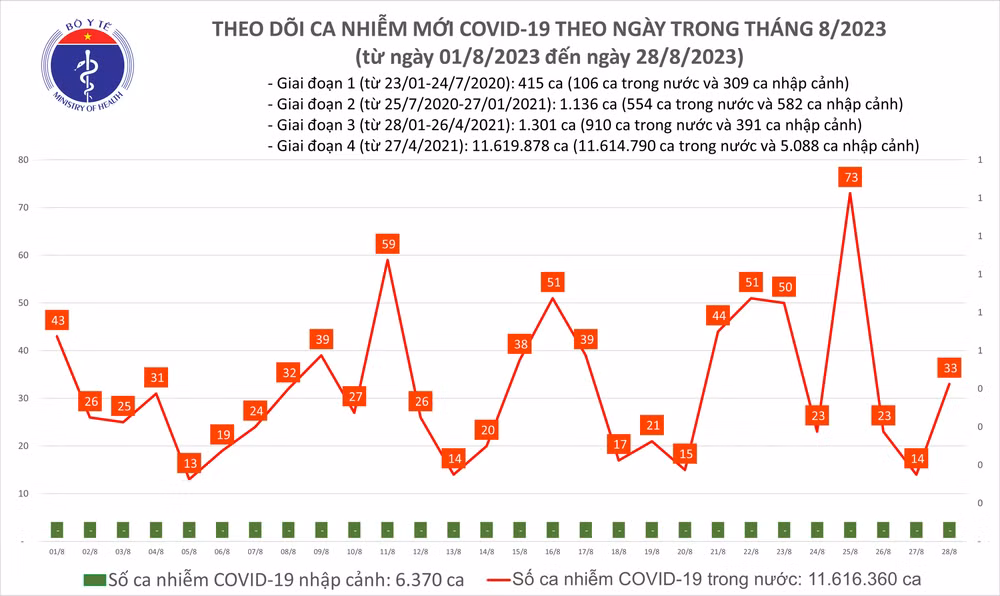 Biểu đồ số ca mắc Covid-19 tại Việt Nam thời gian qua.