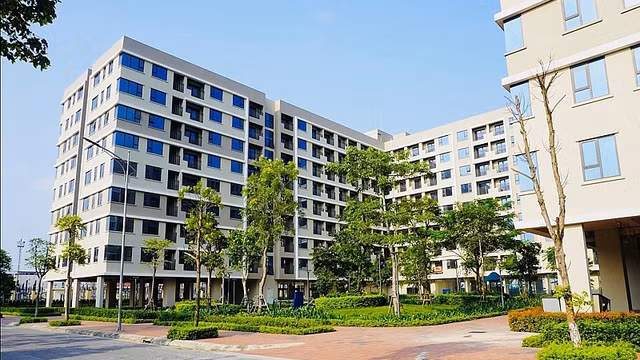 Ảnh minh họa. (Nguồn: Báo điện tử Chính phủ)