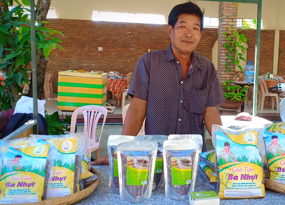 Ông Phạm Văn Nhựt (ngụ xã Phong Nẫm, huyện Giồng Trôm, tỉnh Bến Tre) mong muốn mở rộng diện tích đất để đầu tư sản xuất gạo mang thương hiệu gạo tím Ba Nhựt và nếp cẩm Ba Nhựt.