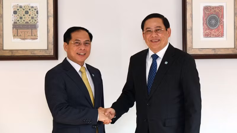 Phó Thủ tướng, Bộ trưởng Ngoại giao Bùi Thanh Sơn hội kiến Thủ tướng Lào Sonexay Siphandone. Ảnh: VGP