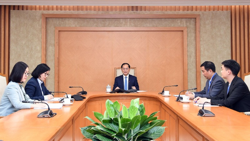 Phó Thủ tướng Chính phủ, Bộ trưởng Ngoại giao Bùi Thanh Sơn điện đàm với Bộ trưởng Ngoại giao Thổ Nhĩ Kỳ Hakan Fidan. (Ảnh: Bộ Ngoại giao Việt Nam)
