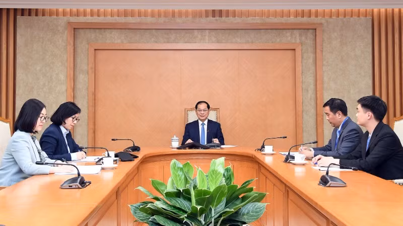 Phó Thủ tướng Chính phủ, Bộ trưởng Ngoại giao Bùi Thanh Sơn điện đàm với Bộ trưởng Ngoại giao Thổ Nhĩ Kỳ Hakan Fidan. (Ảnh: Bộ Ngoại giao Việt Nam)