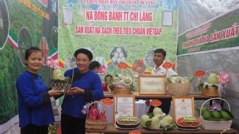 Sản phẩm quả na Chi Lăng (huyện Chi Lăng) được trưng bày tại Chương trình quảng bá, tiêu thụ na. 