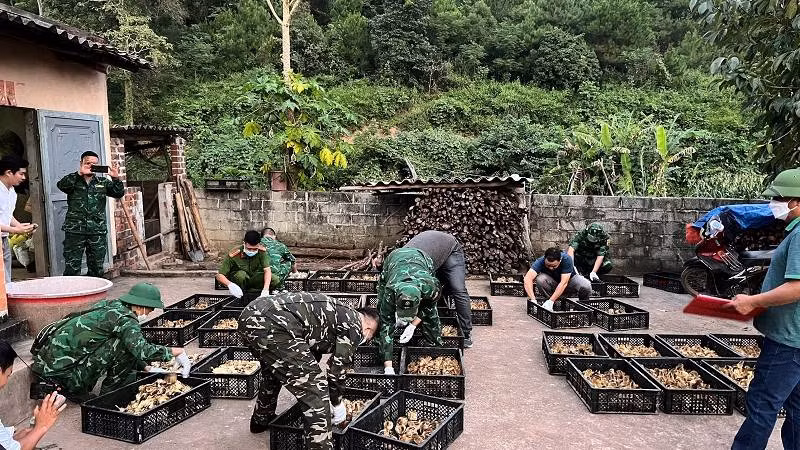 Đồn biên phòng cửa khẩu Chi Ma, Lộc Bình (Lạng Sơn) kịp thời phát hiện bắt giữ hơn 5 nghìn con vịt giống nhập lậu.