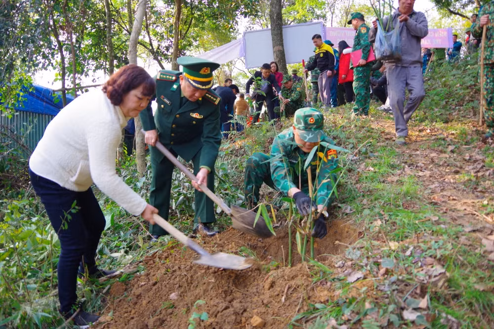 Cán bộ chiến sĩ Đồn Biên phòng cửa khẩu quốc tế Hữu Nghị (huyện Cao Lộc) hướng dẫn người dân trồng cây tre Bát Độ.