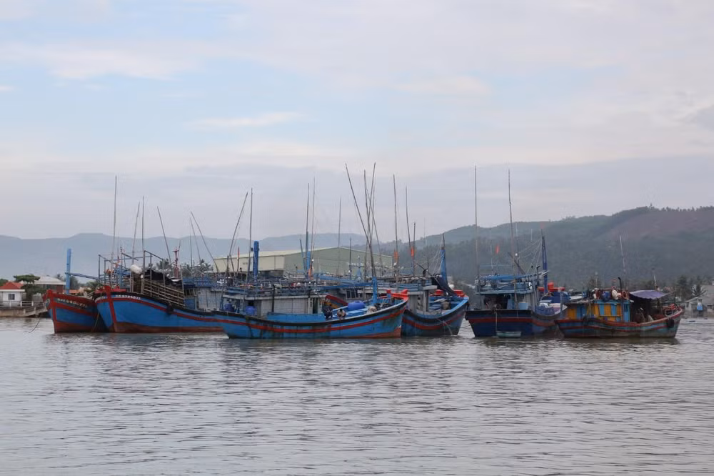 Nhiều tàu cá của ngư dân thị xã Hoài Nhơn đã vào khu neo đậu an toàn.