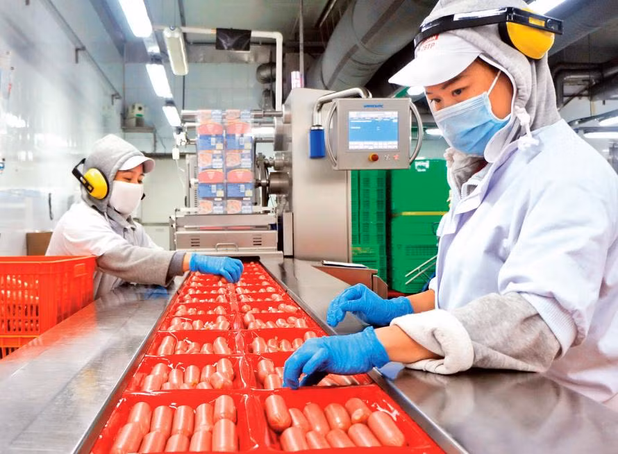 Công ty Vissan có nhu cầu tuyển dụng số lượng lớn lao động phục vụ sản xuất mùa Tết.