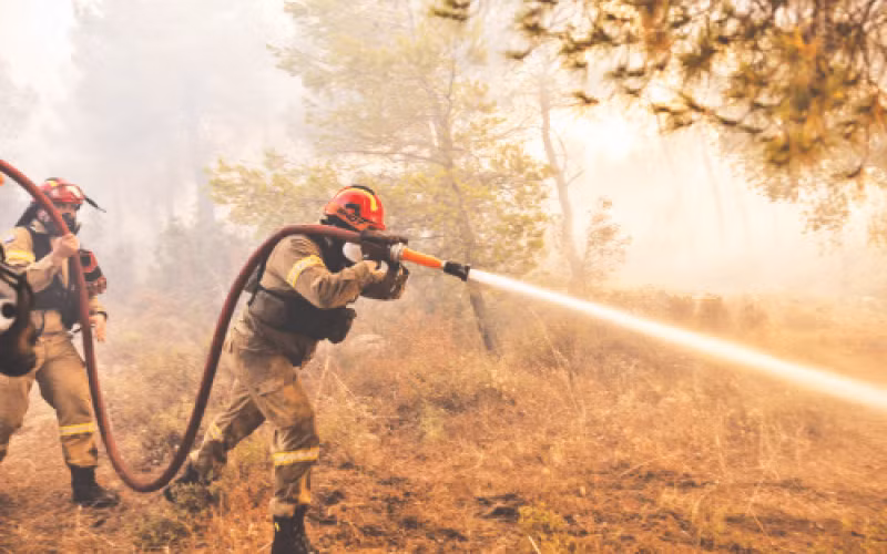 Nhân viên cứu hỏa nỗ lực khống chế đám cháy rừng ở ngoại ô Athens, Hy Lạp.