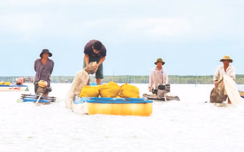 Nhiều người trang bị máy hút để khai thác nghêu giống. 