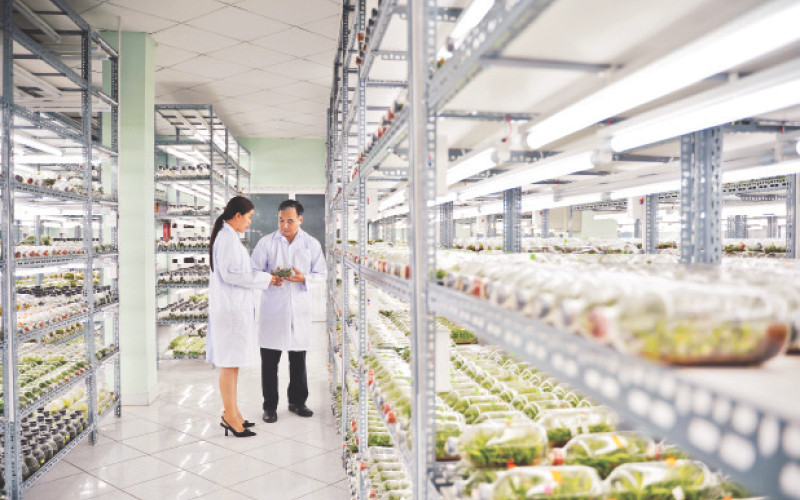 Thành phố Hồ Chí Minh hướng đến nền nông nghiệp hiện đại 