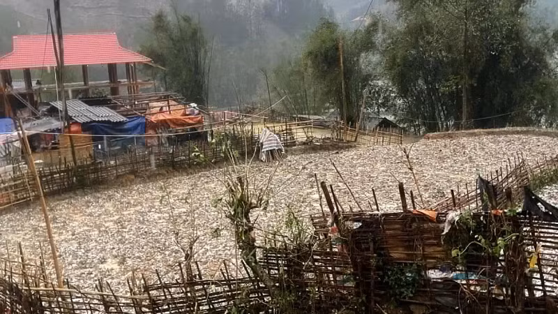 Khoảng 17 giờ ngày 25/3, mưa đá xảy ra tại bản Nà Lầu, xã Mường É, huyện Thuận Châu, Sơn La. (Ảnh: TÙNG LÂM) 
