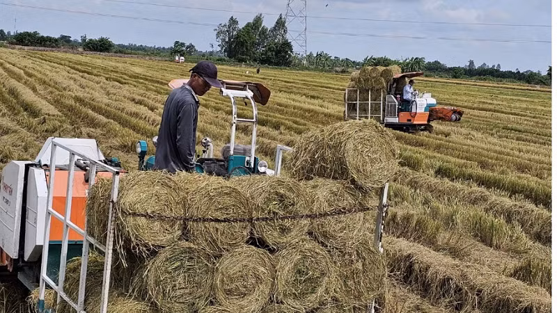 Cơ giới hóa trong sản xuất nông nghiệp tại huyện Cờ Đỏ, thành phố Cần Thơ.