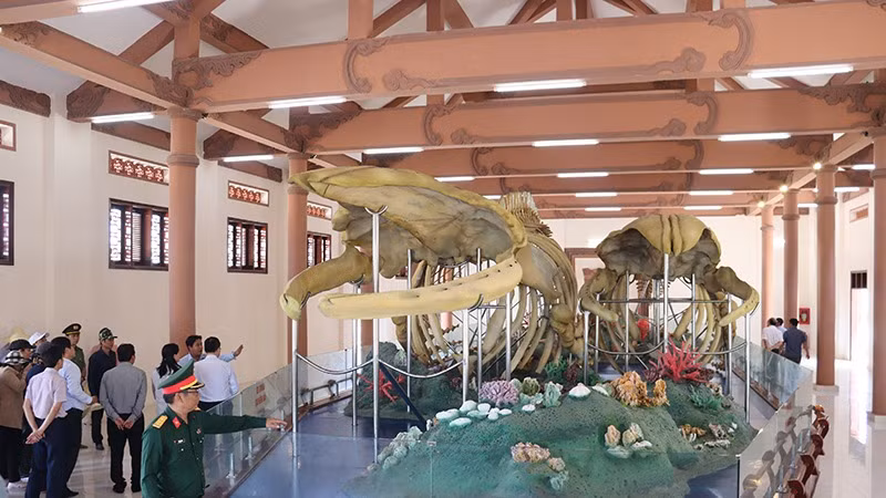 Lượng du khách đến với đảo Lý Sơn ngày càng tăng.