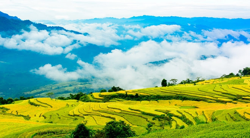 Ruộng bậc thang Hồng Thái vào mùa lúa chín. (Ảnh: mytuyenquang.vn)