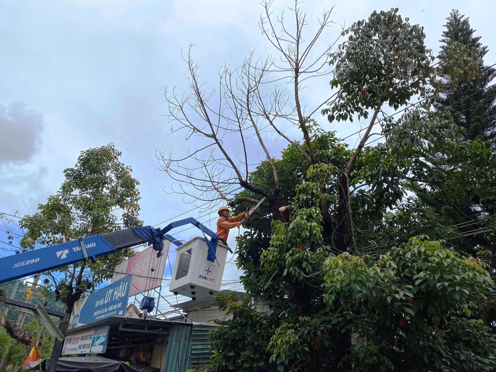 Điện lực Đông Giang bảo đảm an toàn hành lang tuyến hạ thế.