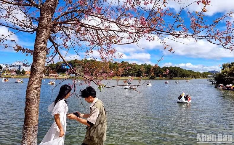 Khung cảnh lãng mạn của Đà Lạt luôn hấp dẫn du khách. (Ảnh: MAI VĂN BẢO)