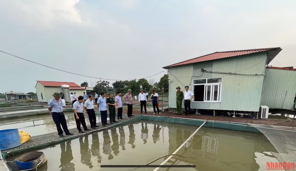 Lãnh đạo tỉnh Hải Dương kiểm tra việc nuôi cá lồng ở phường Nam Đồng thành phố Hải Dương