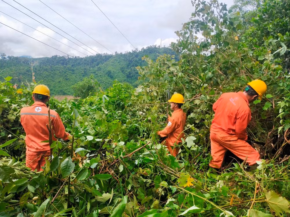 Điện lực Quảng Nam phát quang hành lang tuyến đường dây 110kV.