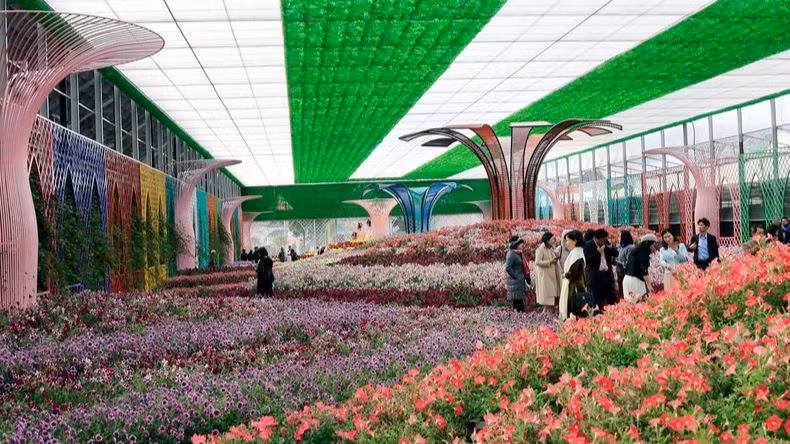 Một điểm đến trong tour tham quan Làng hoa Vạn Thành, Đà Lạt