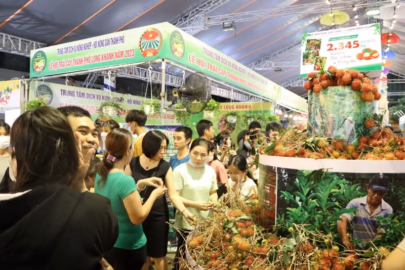 Gian hàng cung cấp trái cây miễn phí để người dân đến tham dự thưởng thức.