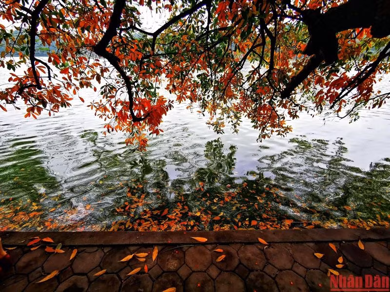 Một góc Hồ Gươm vào cuối thu, đầu đông. (Ảnh: THÀNH ĐẠT)