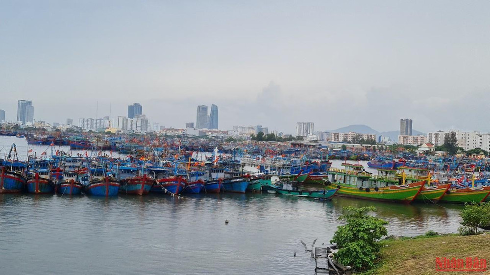Hơn 1.000 tàu thuyền đánh cá đã vào neo đậu, chằng buộc an toàn tại âu thuyền Thọ Quang.