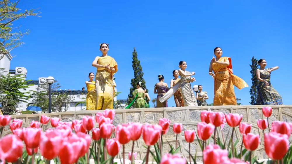 Hoa tulip nở rực rỡ trên đỉnh núi Bà Đen. (Ảnh: Sun World Ba Den Mountain)