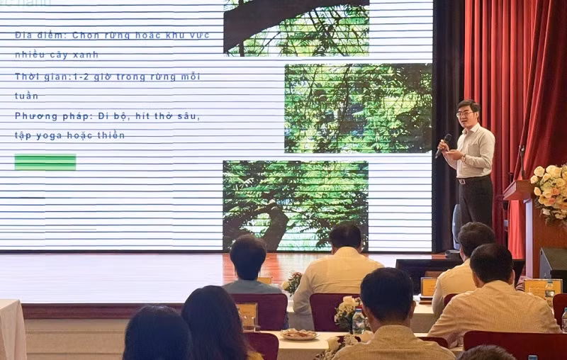 Chia sẻ lợi ích chăm sóc sức khỏe hệ hô hấp thông qua "liệu pháp rừng".