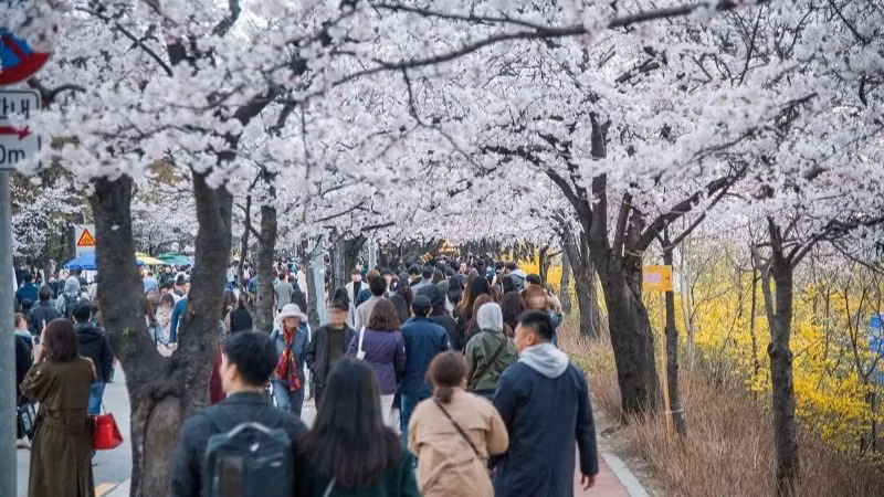 Tổng cục Du lịch Hàn Quốc liên tục làm mới sản phẩm nhằm đáp ứng nhu cầu đa dạng của du khách Việt Nam. (Ảnh: Tổng cục Du lịch Hàn Quốc)