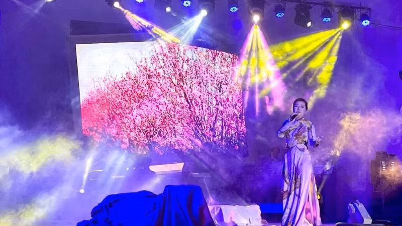 Chương trình đưa người xem đến với không khí nghệ thuật đa dạng qua một chuỗi các hoạt động trình diễn ca, múa, nhạc. (Ảnh: TRANG ANH)