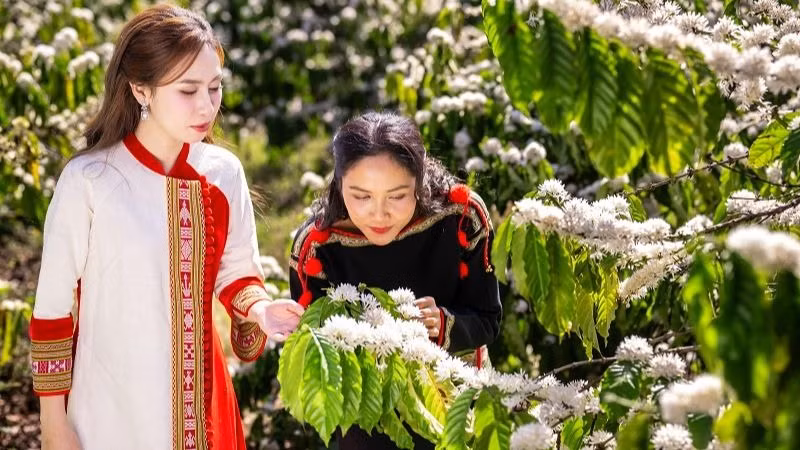 Lễ hội Cà-phê Buôn Ma Thuột góp phần nâng tầm giá trị cà-phê Việt. (Ảnh: Ban tổ chức)