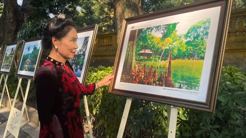 Nguyên Thứ trưởng Văn hóa, Thể thao và Du lịch Đặng Thị Bích Liên trong không gian Triển lãm.