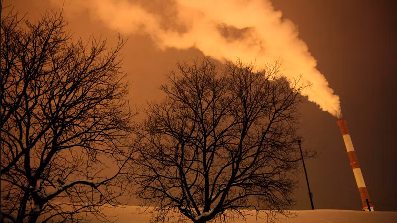 Ảnh minh họa. (Nguồn: Reuters)