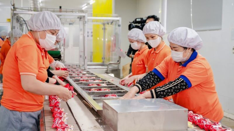 Nhiều lĩnh vực sản xuất phục hồi, tạo ra mức tăng trưởng cao cho tỉnh Thái Bình.