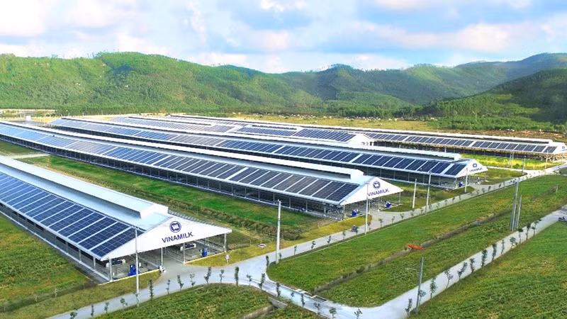 Các trang trại tại Vinamilk đều sử dụng năng lượng mặt trời, hệ thống biogas biến chất thải đàn bò thành tài nguyên.