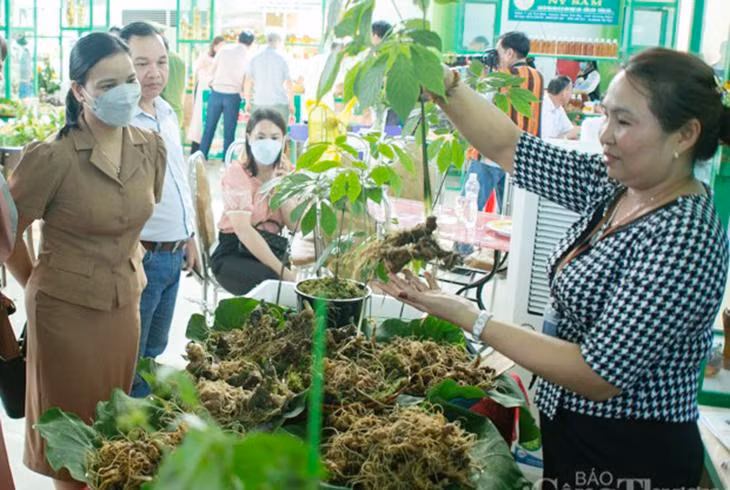 Phiên chợ sâm Ngọc Linh thu hút đông đảo người dân địa phương và du khách