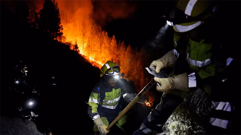 Lực lượng cứu hỏa dập đám cháy tại Arafo trên đảo Tenerife, ngày 16/8/2023. (Ảnh: Reuters)