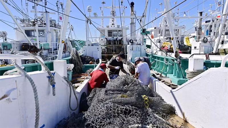 Ngư dân đánh bắt cá gần nhà máy Fukushima, ngày 22/8/2023. (Ảnh: Kyodo)