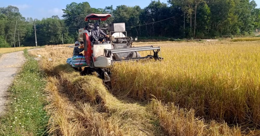 Cơ giới hóa sản xuất nông nghiệp trên địa bàn huyện Phú Bình.