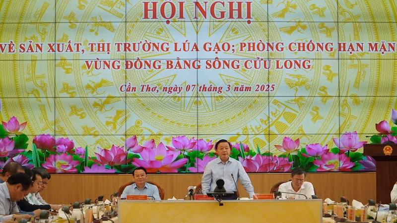 Phó Thủ tướng Trần Hồng Hà phát biểu tại hội nghị. 