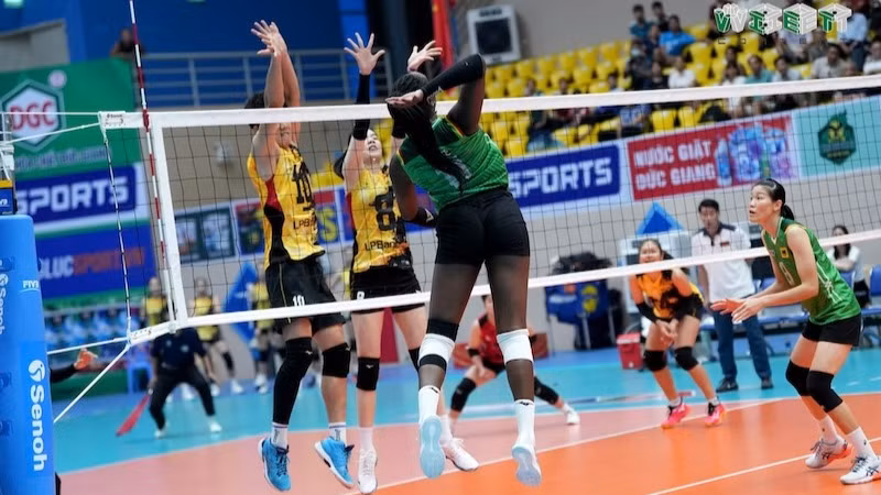 Ảnh minh họa: Vòng 1 Giải bóng chuyền vô địch quốc gia 2025 khởi tranh từ ngày 22/3 tới 31/3. (Ảnh: Liên đoàn Bóng chuyền Việt Nam)