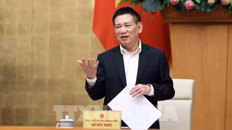 Phó Thủ tướng Hồ Đức Phớc. (Ành: TTXVN)