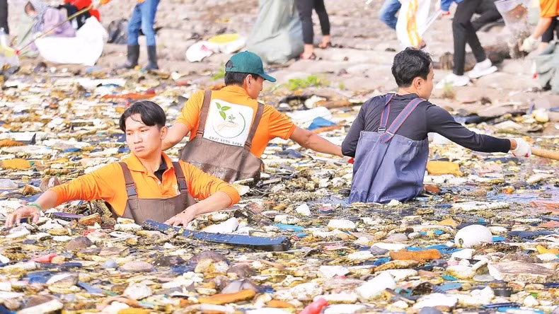 Các tình nguyện viên thu gom rác ở dọc tuyến đê biển Gò Công. Ảnh: NGUYỄN SỰ