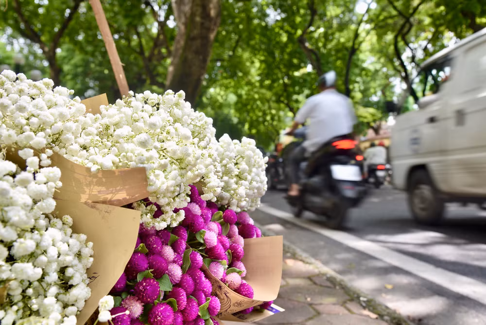 Giá của mỗi loại hoa giao động từ 120.000-150.000/bó.