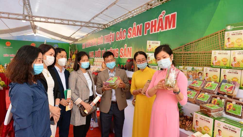 Sản phẩm nông sản Bắc Giang được giới thiệu ở nhiều hội chợ và có thị trường tiêu thụ rộng khắp.