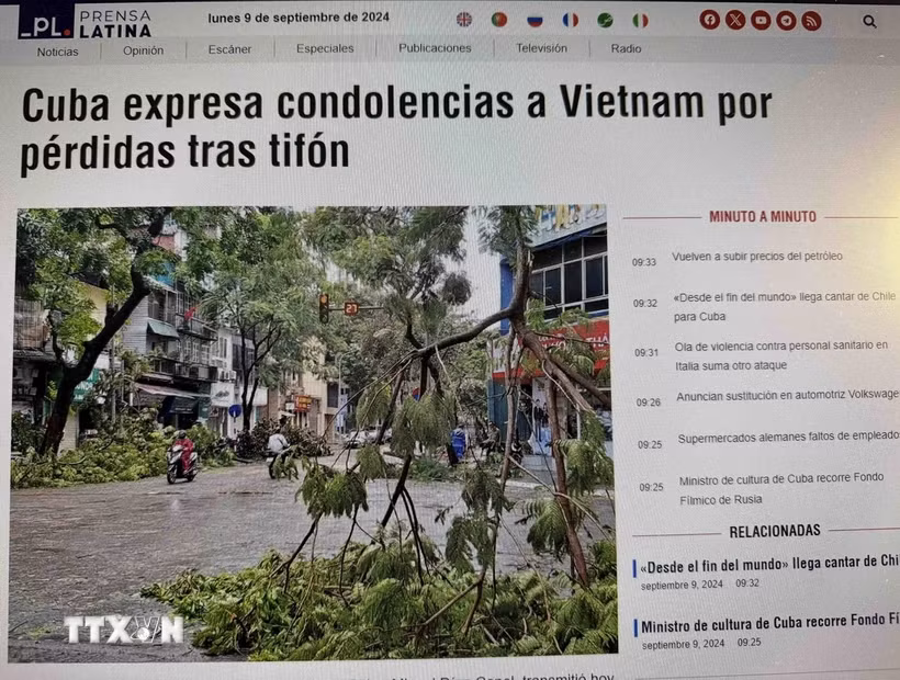 Rác thải kín bờ biển Bãi Cháy, gây mất mỹ quan, song vẫn chưa thể dọn dẹp. (Ảnh: Thanh Vân/TTXVN)