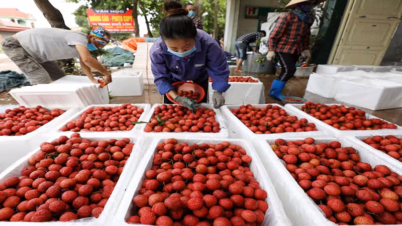 Nông sản Việt còn nhiều tiềm năng ở thị trường Trung Quốc.