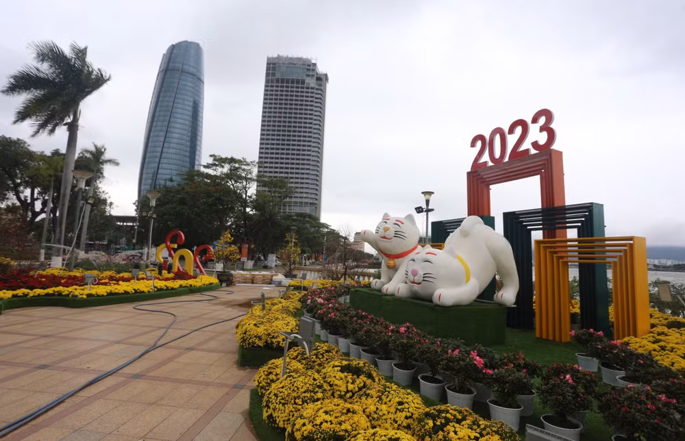 Nhiều biểu cảm, sắc thái vui nhộn của mèo.